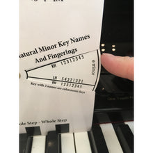 Load image into Gallery viewer, Music Scale Teacher