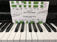 Load image into Gallery viewer, Solfege Teacher- Movable do, la based minor
